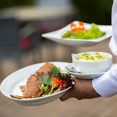 Hotel Vogtland 4*