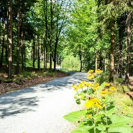 Hotel Vogtland Bad Elster