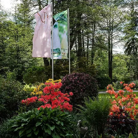 Hotel Vogtland Bad Elster
