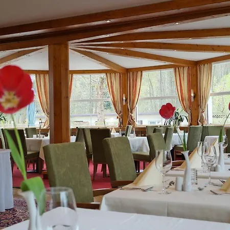 Vogtland 4* Bad Elster